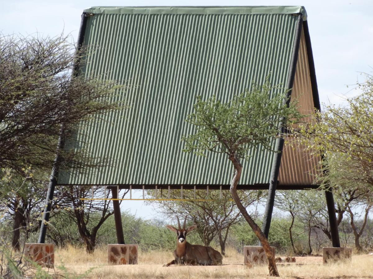 Ovita Wildlife Restcamp Okazize ภายนอก รูปภาพ